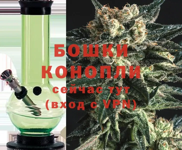 Канабис OG Kush  Навашино 